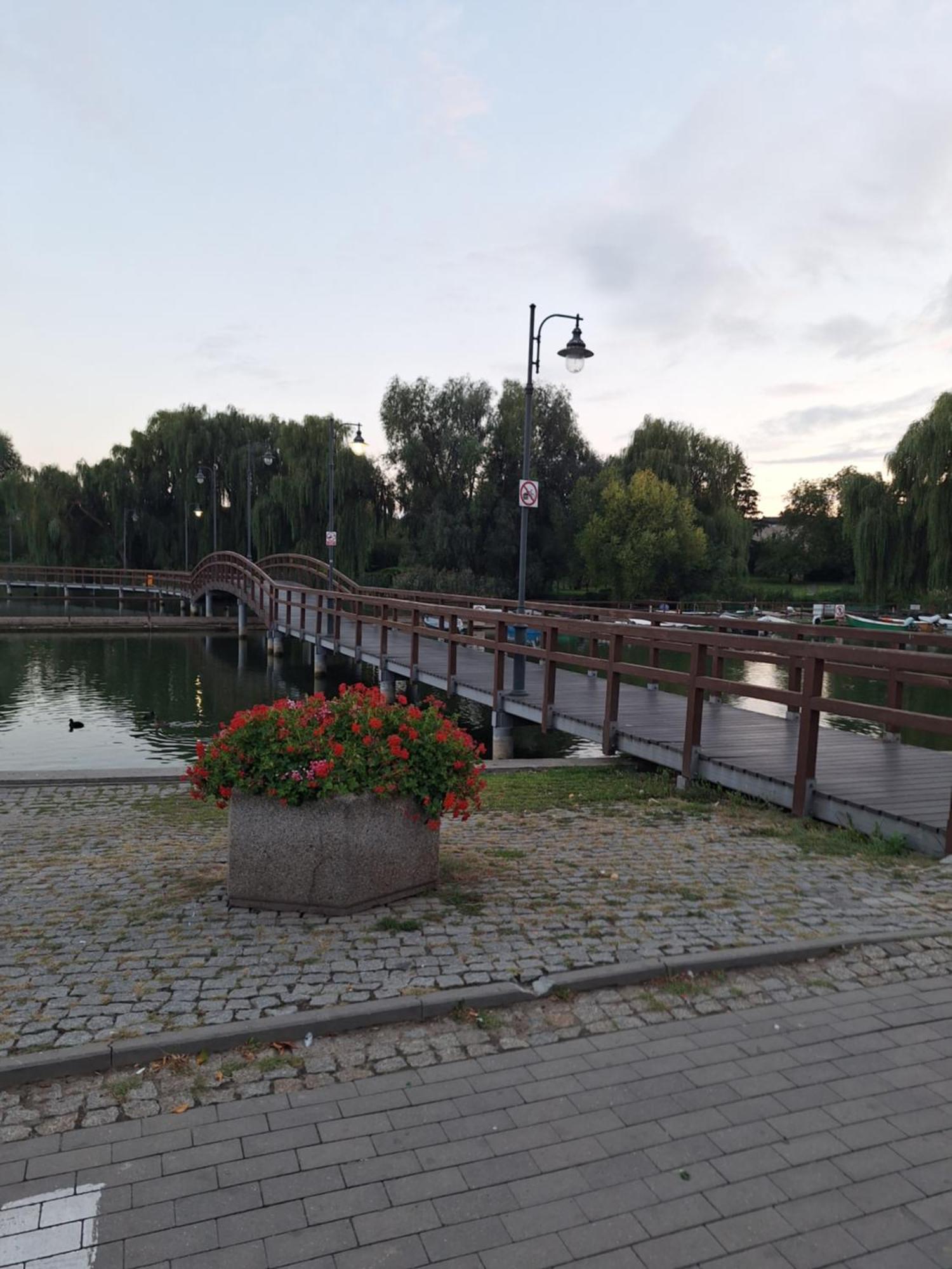 Apartament Chełmża Exteriér fotografie